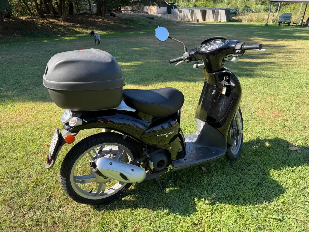 Aprilia Scarabeo 50 (2007 - 08) (3)