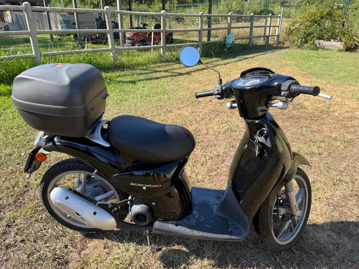 Aprilia Scarabeo 50 (2007 - 08) (4)