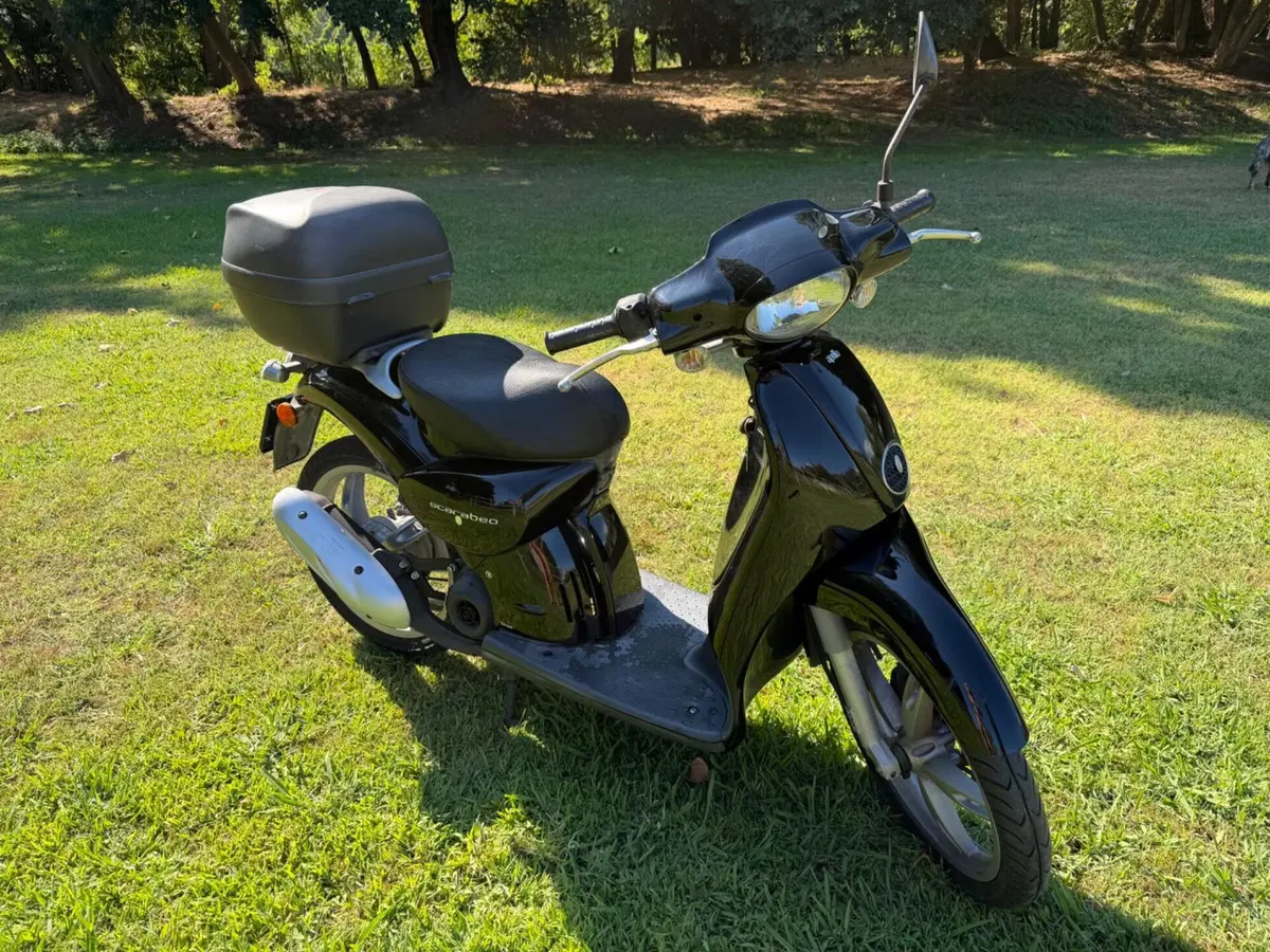 Aprilia Scarabeo 50 (2007 - 08) (10)