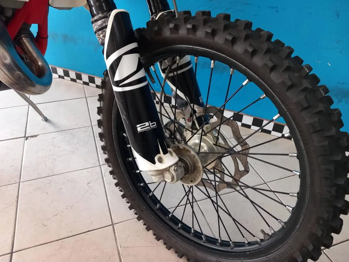 Betamotor RR 125 2T Enduro (2019) (20)