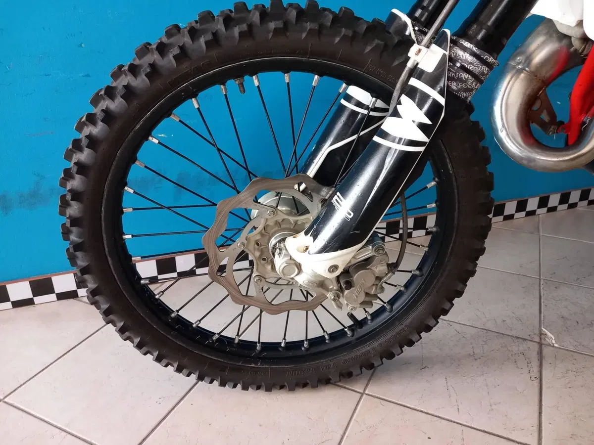 Betamotor RR 125 2T Enduro (2019) (7)