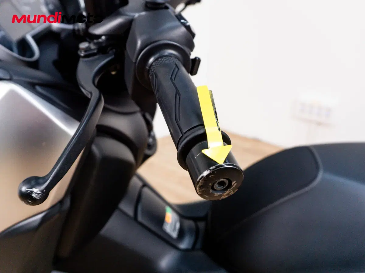 Yamaha X-Max 300 ABS (2017 - 20) (13)