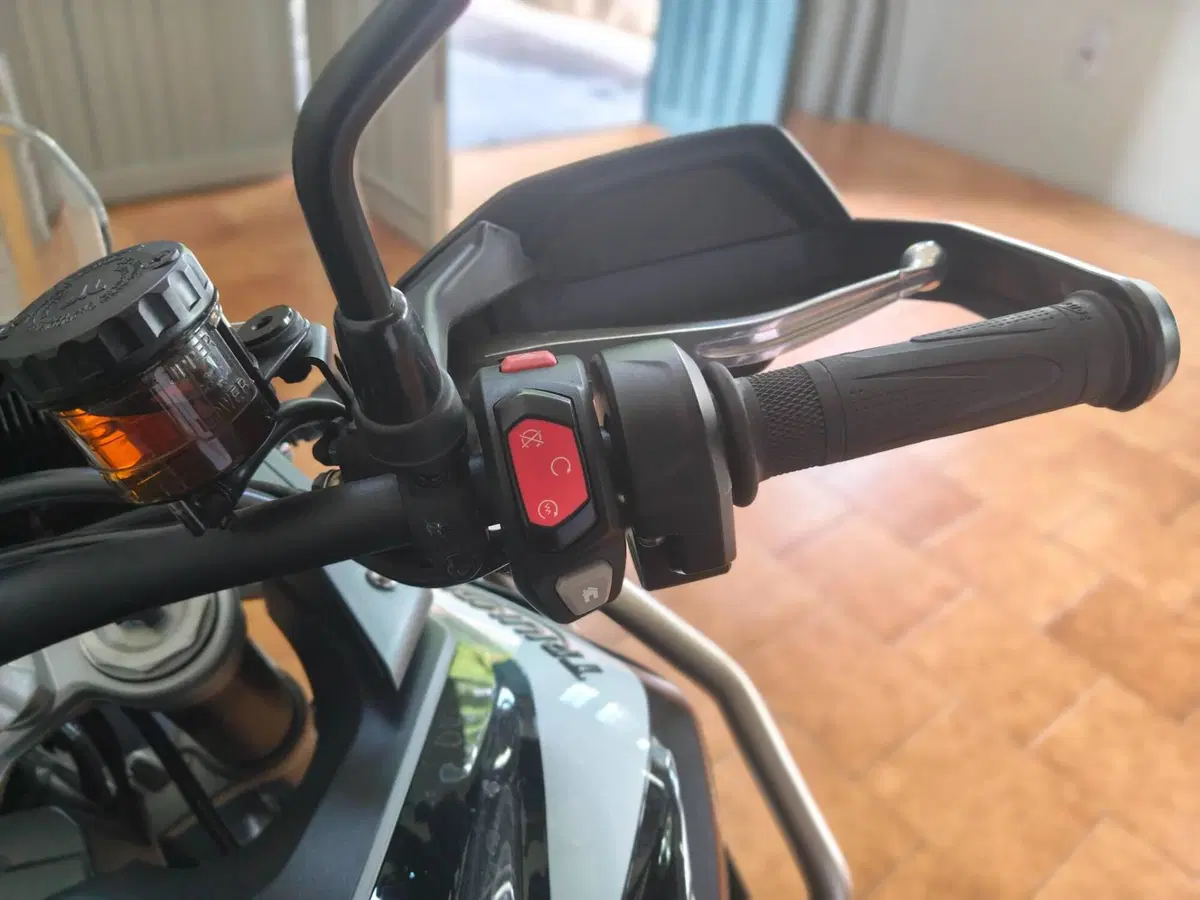 Triumph Tiger 900 GT (2020 - 23) (5)