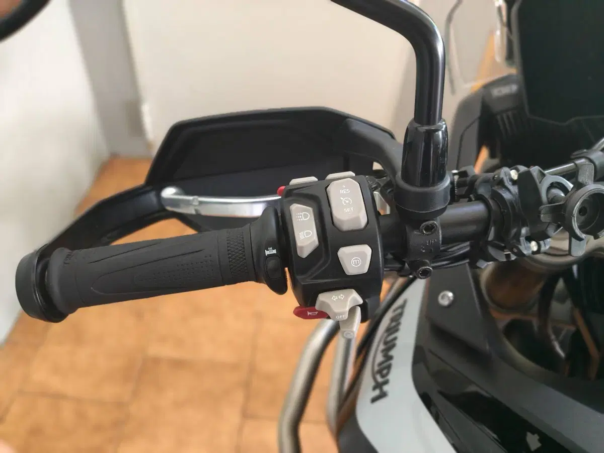 Triumph Tiger 900 GT (2020 - 23) (6)