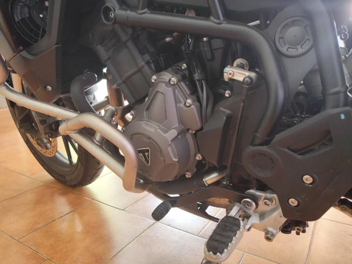 Triumph Tiger 900 GT (2020 - 23) (9)