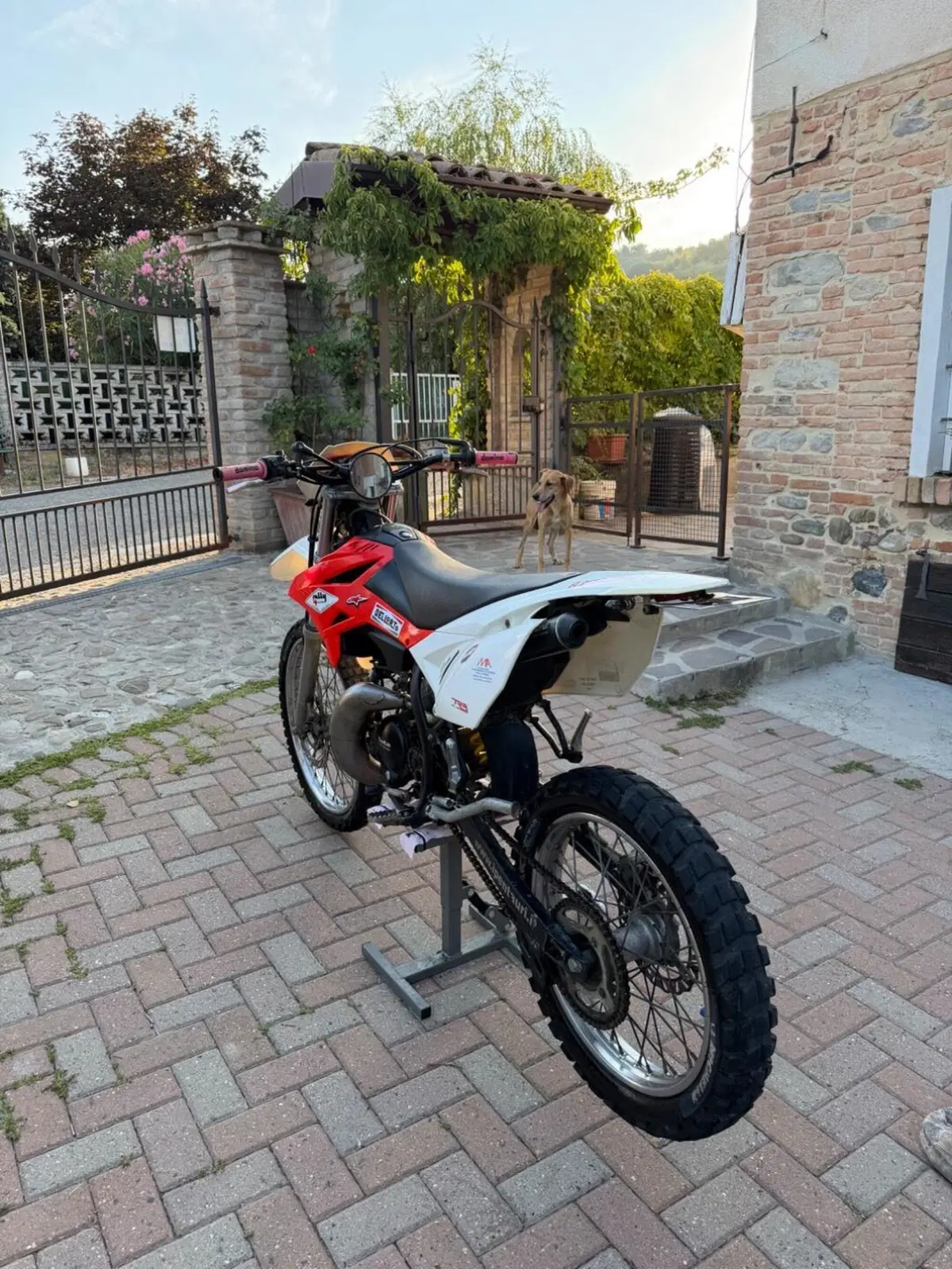 Betamotor RR 50 Enduro (2011 - 18) (2)