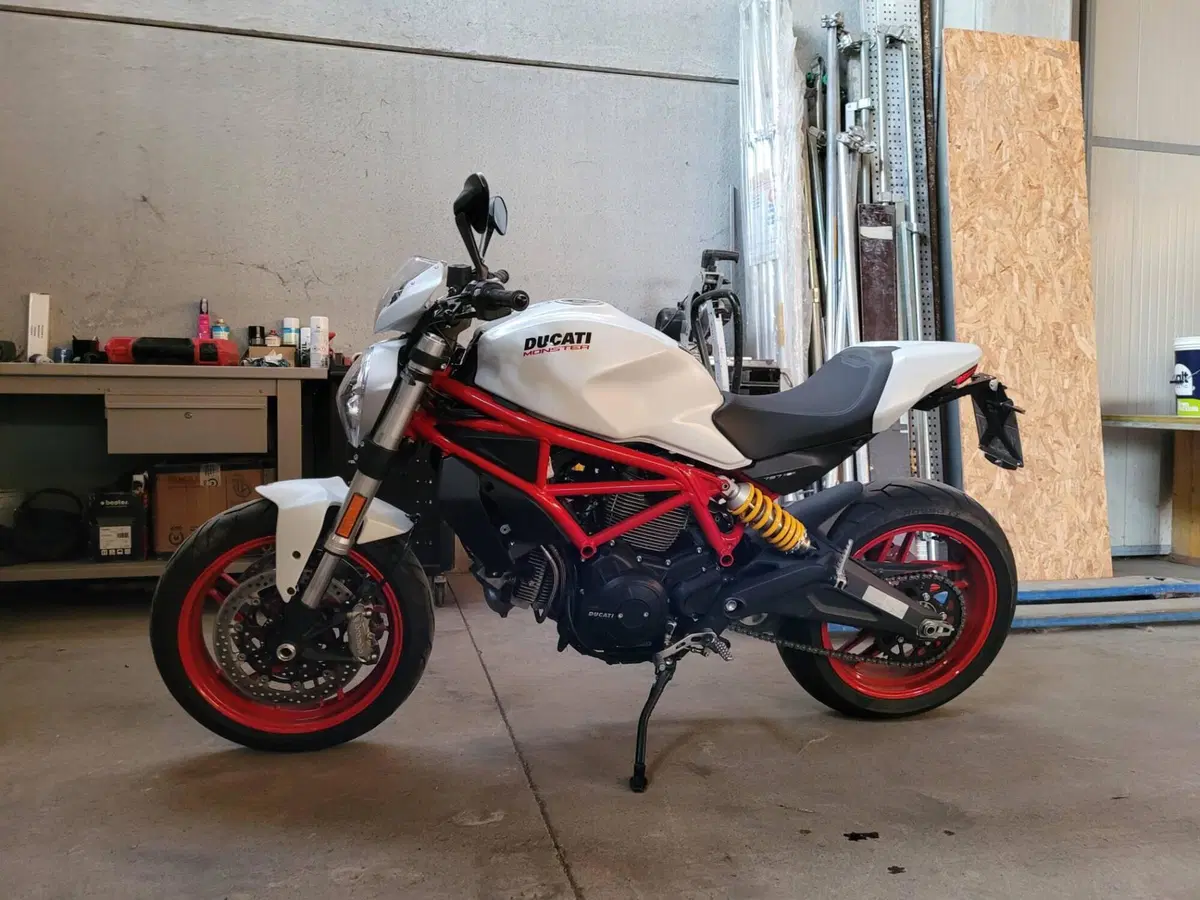 Ducati Monster 797 (2017 - 18) (4)