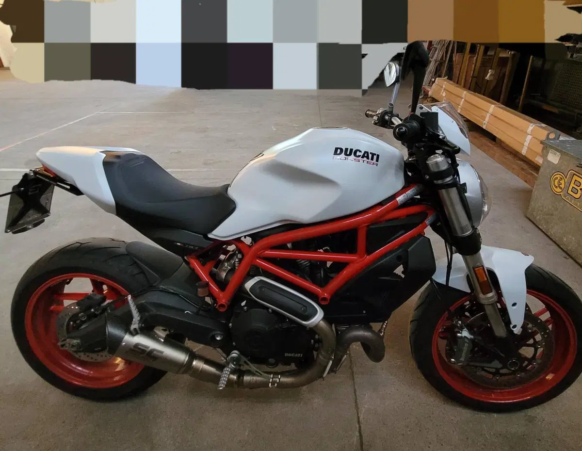Ducati Monster 797 (2017 - 18) (2)