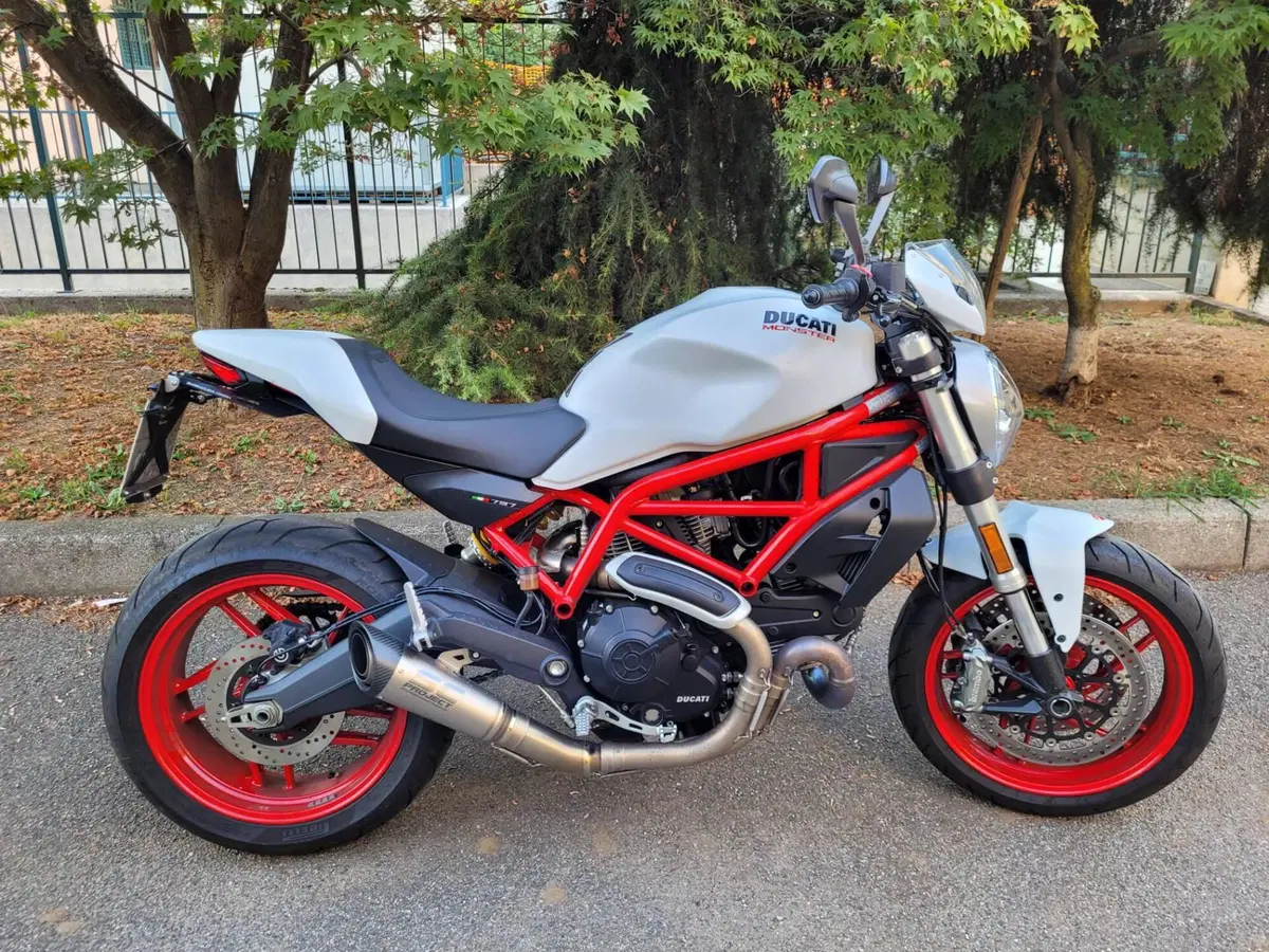 Ducati Monster 797 (2017 - 18)