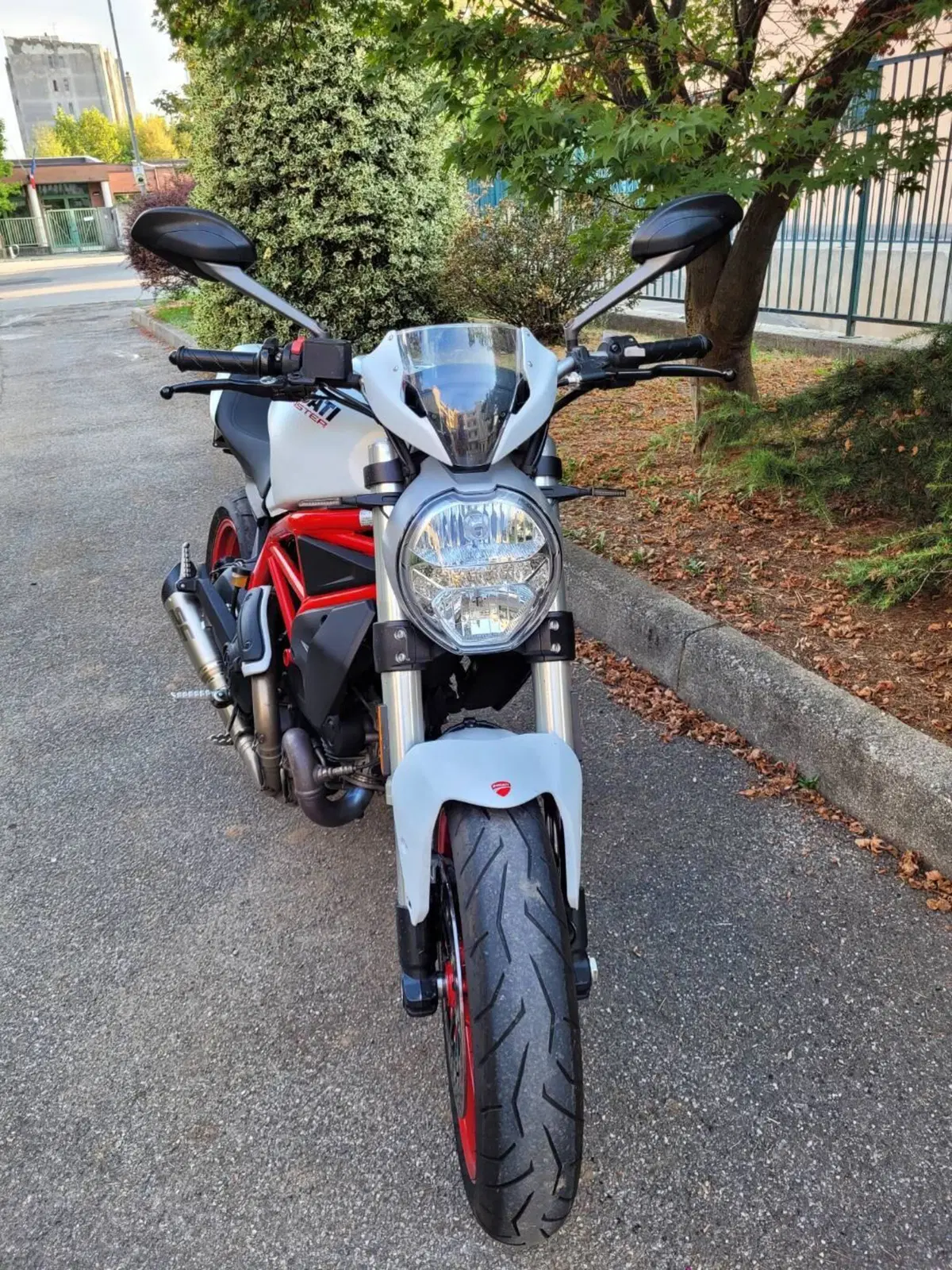 Ducati Monster 797 (2017 - 18) (3)