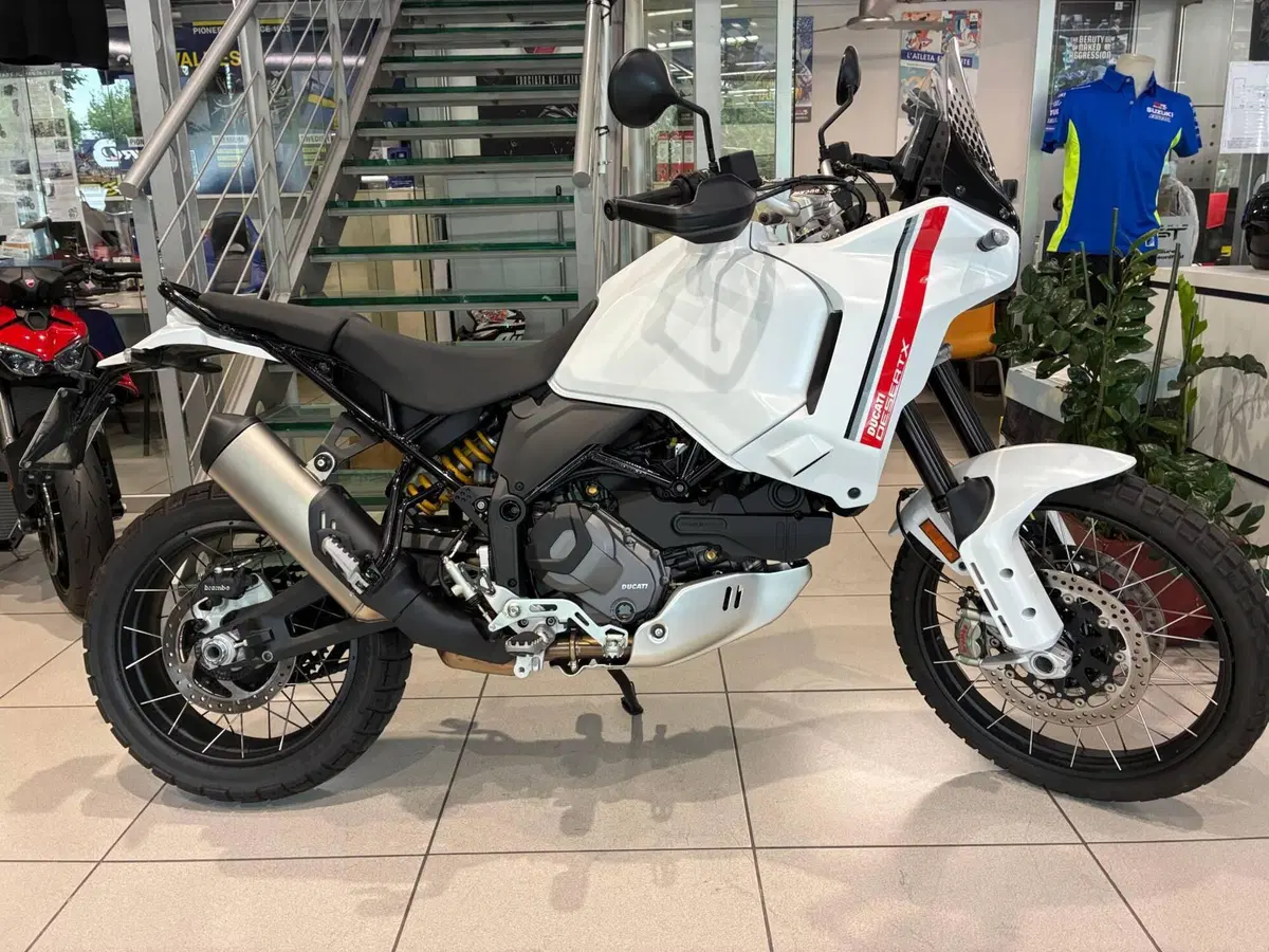 Ducati DesertX (2022 - 25)