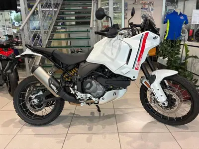 Ducati DesertX (2022 - 25) usata