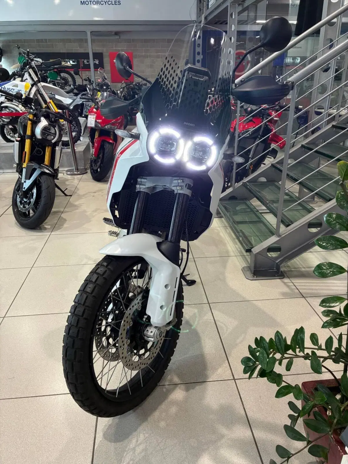 Ducati DesertX (2022 - 25) (3)