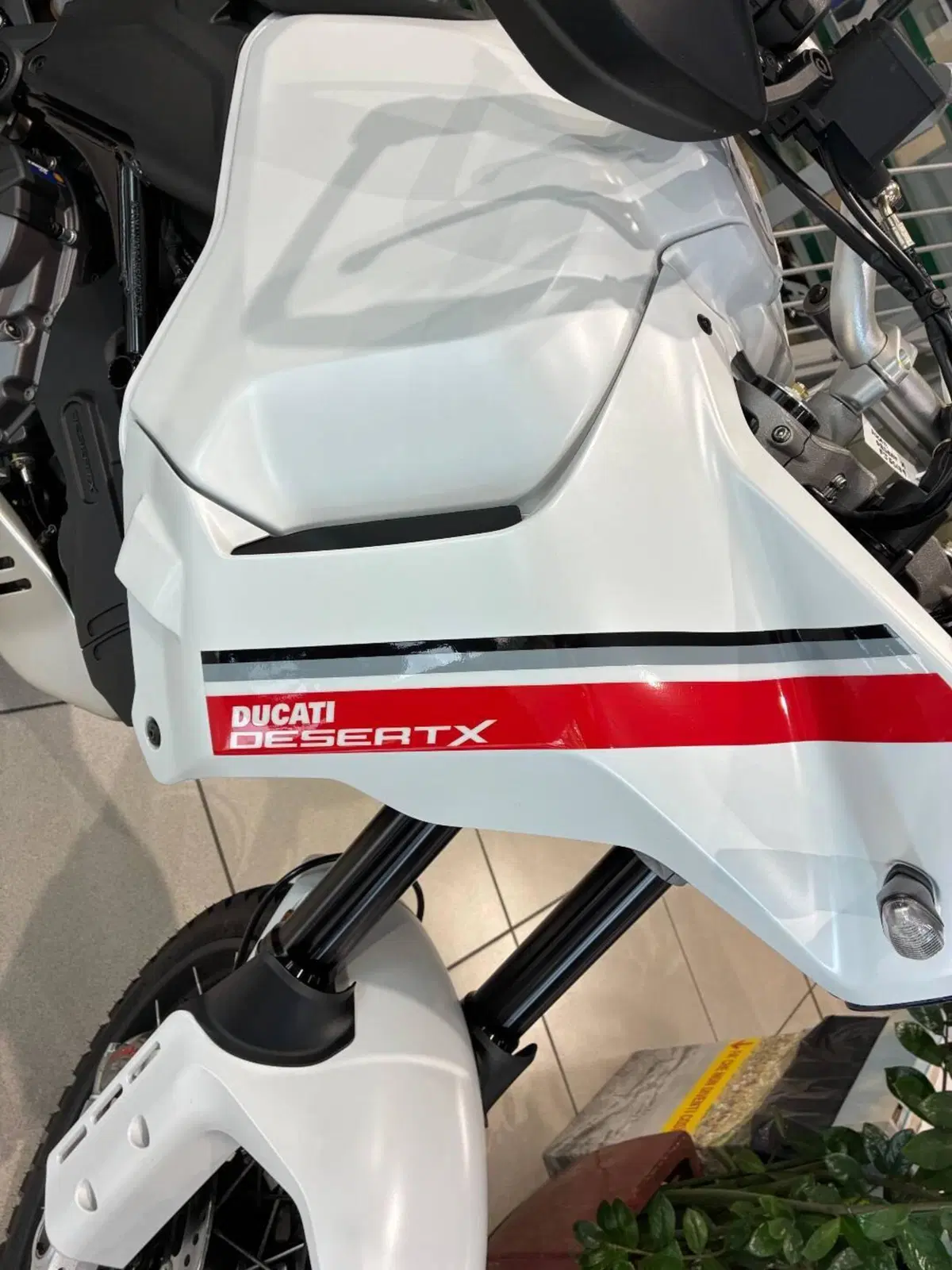 Ducati DesertX (2022 - 25) (4)