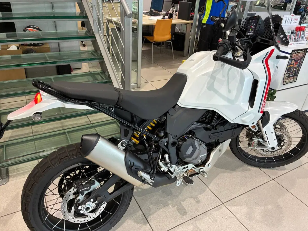 Ducati DesertX (2022 - 25) (5)