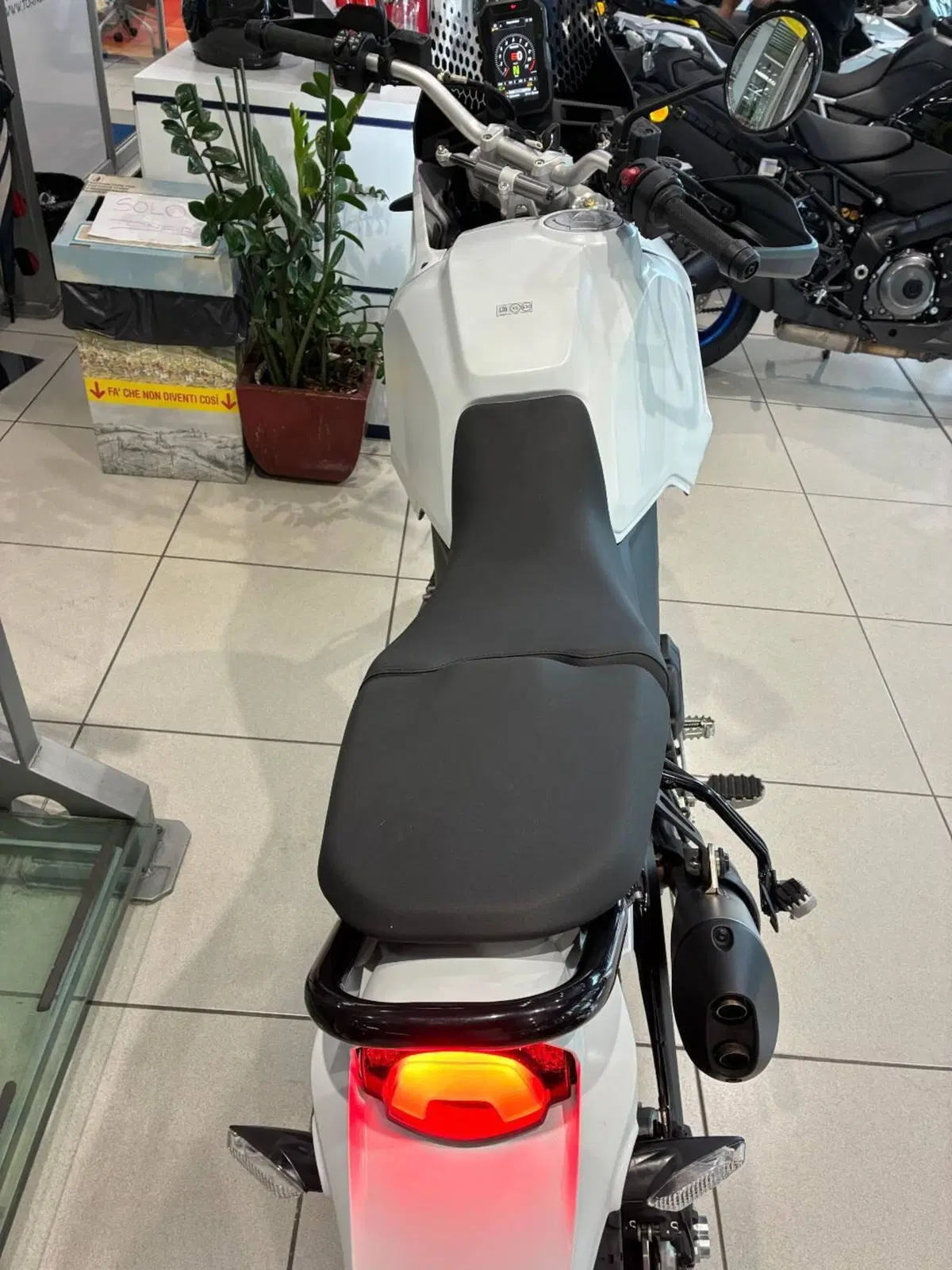 Ducati DesertX (2022 - 25) (6)