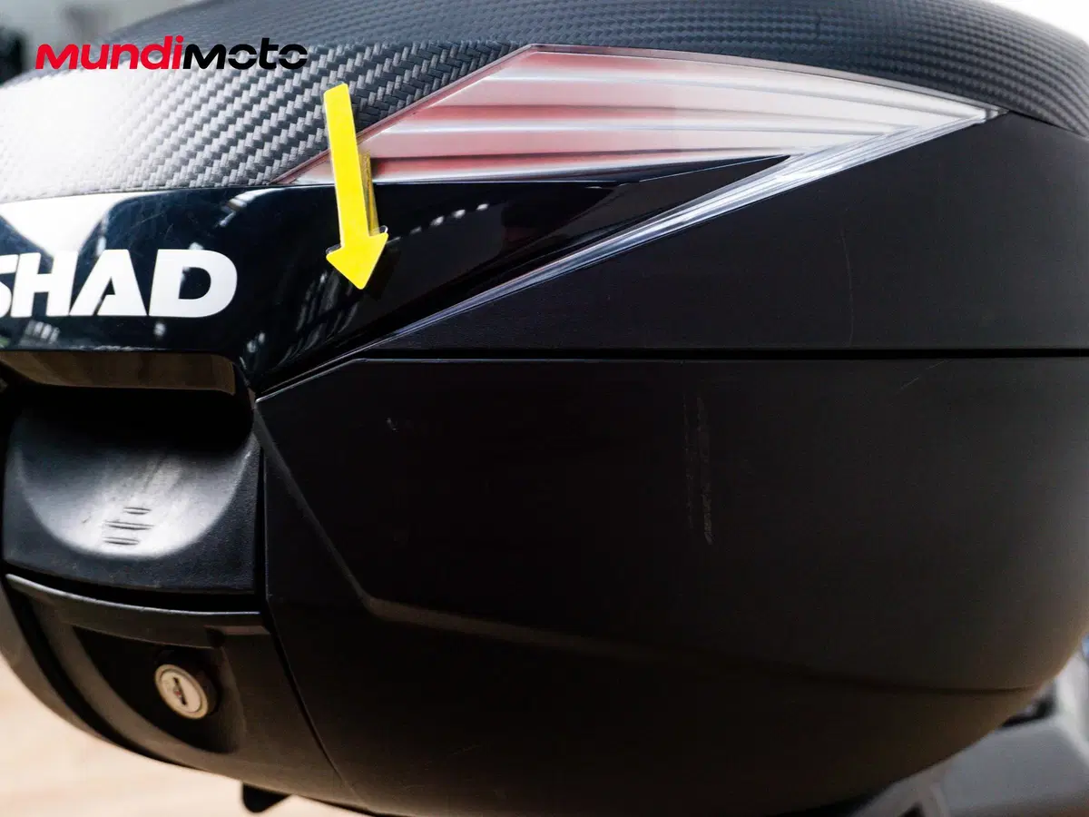 Benelli Leoncino 250 (2019 - 20) (14)