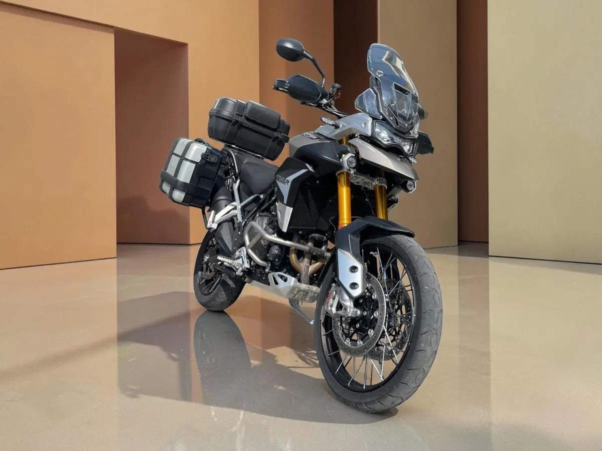 Triumph Tiger 900 Rally Pro (2020 - 23) (2)