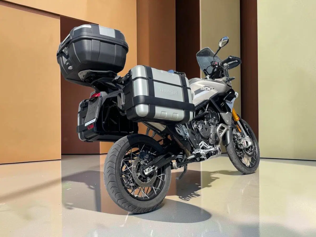 Triumph Tiger 900 Rally Pro (2020 - 23) (3)