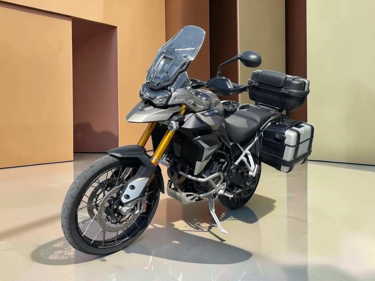 Triumph Tiger 900 Rally Pro (2020 - 23) (6)