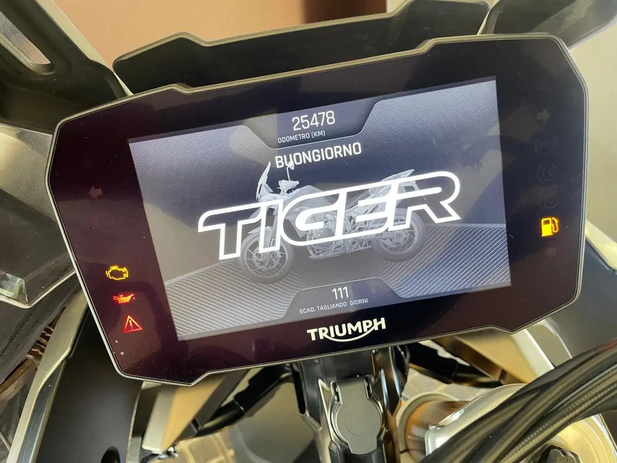 Triumph Tiger 900 Rally Pro (2020 - 23) (7)
