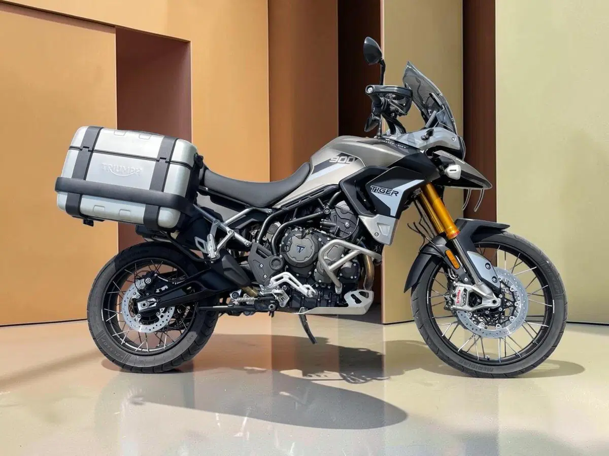 Triumph Tiger 900 Rally Pro (2020 - 23) (8)