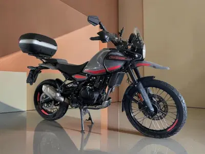 Royal Enfield Himalayan 450 (2024 - 26) usata