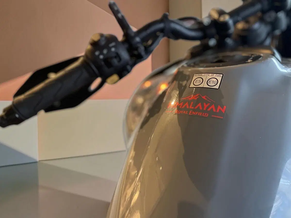 Royal Enfield Himalayan 450 (2024 - 26) (8)