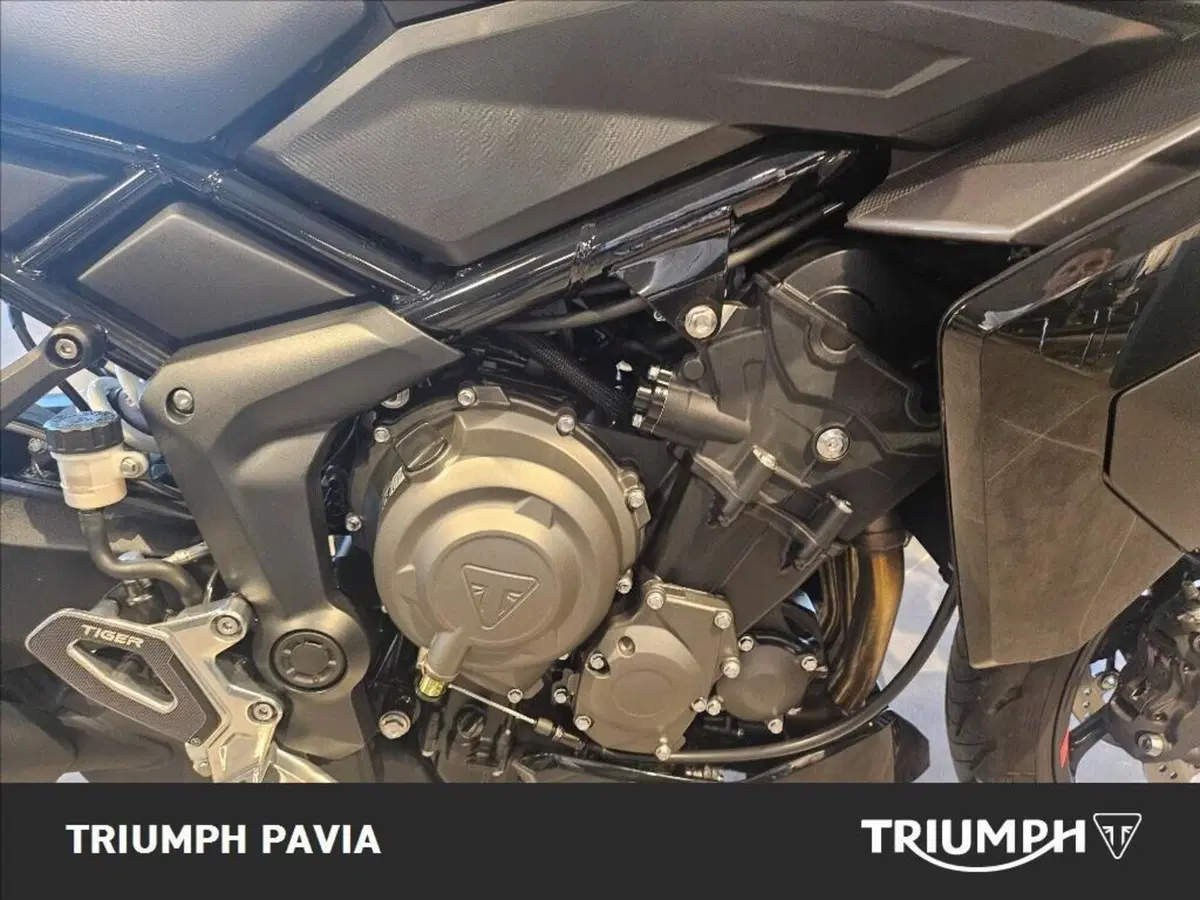 Triumph Tiger Sport 800 (2025 - 26) (14)