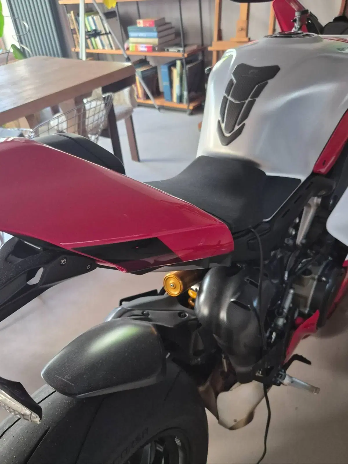Ducati Panigale V4 R (2023 - 24) (10)
