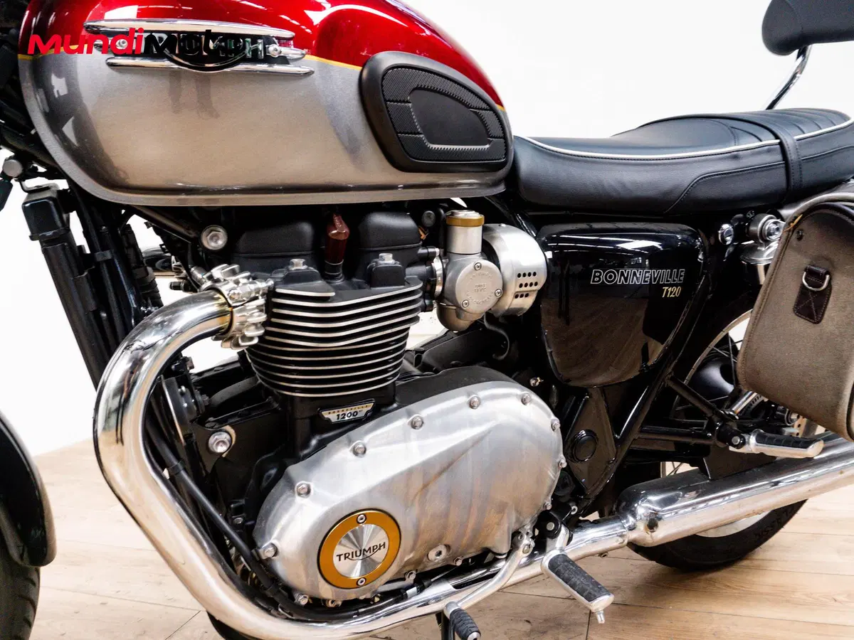 Triumph Bonneville T120 Gold Line Edition (2021) (9)