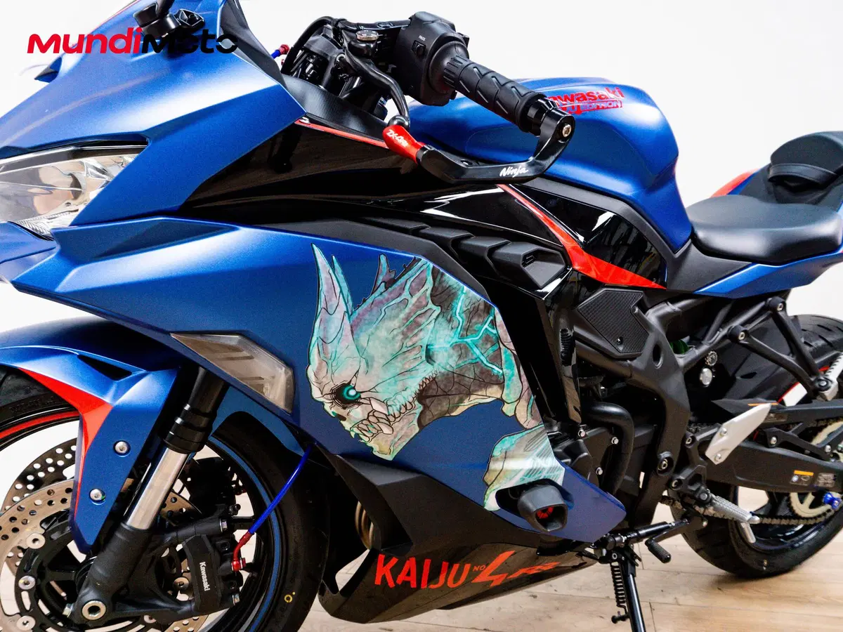 Kawasaki Ninja ZX-4R (2024 - 26) (8)
