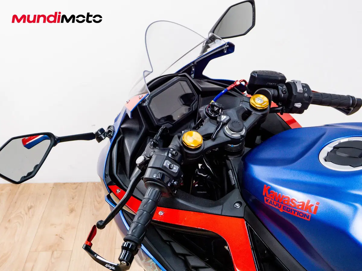 Kawasaki Ninja ZX-4R (2024 - 26) (10)