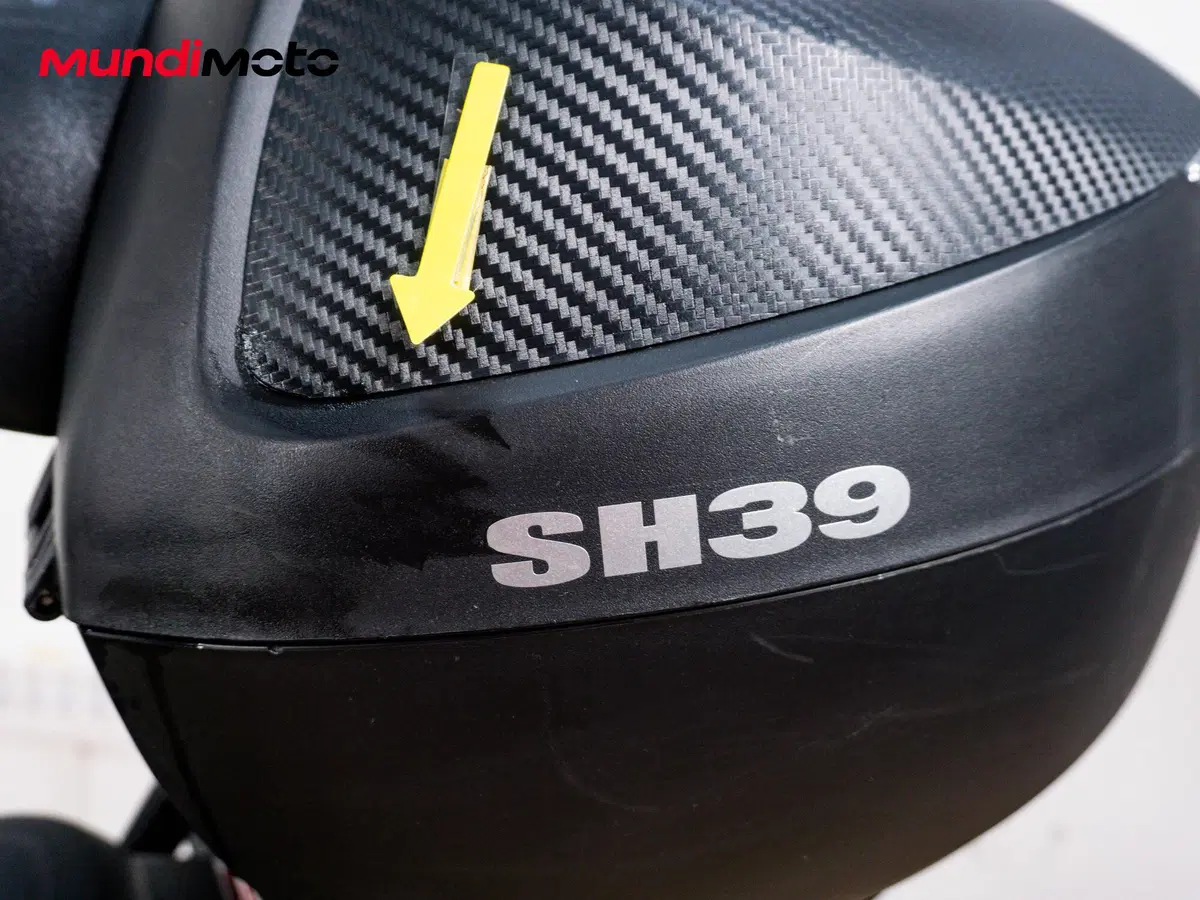 Benelli Leoncino 250 (2019 - 20) (17)