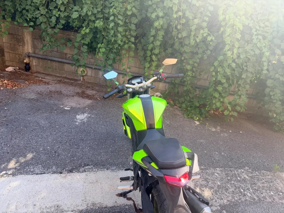 Benelli BN 125 (2021 - 25) (4)