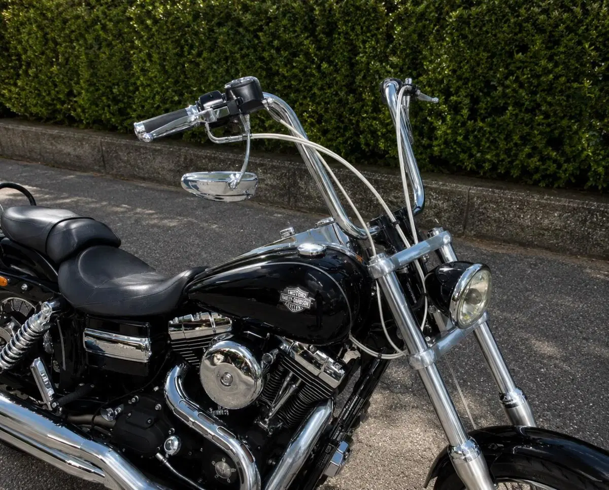 Harley-Davidson 1584 Wide Glide (2007 - 11) - FXDWG (4)
