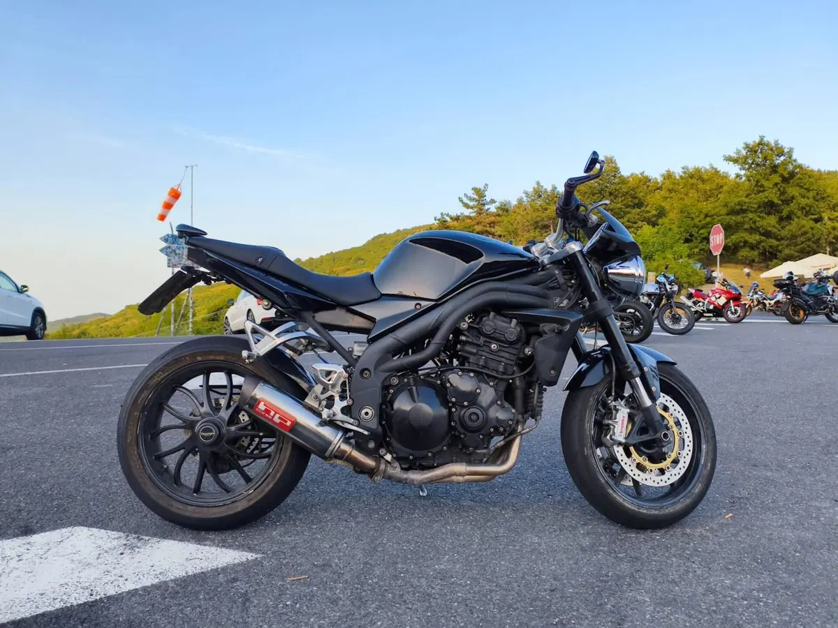 Triumph Speed Triple 1050 (2005 - 11) (2)