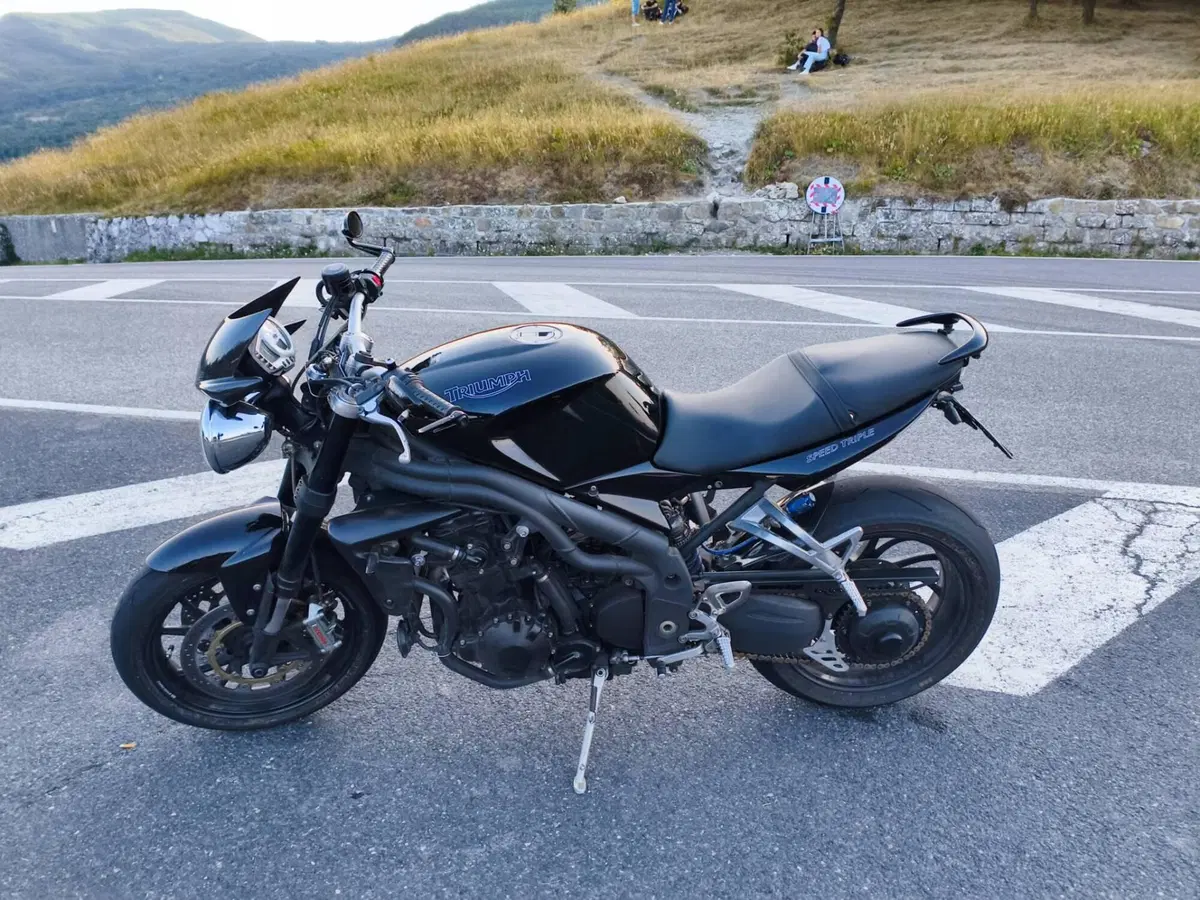 Triumph Speed Triple 1050 (2005 - 11) (4)