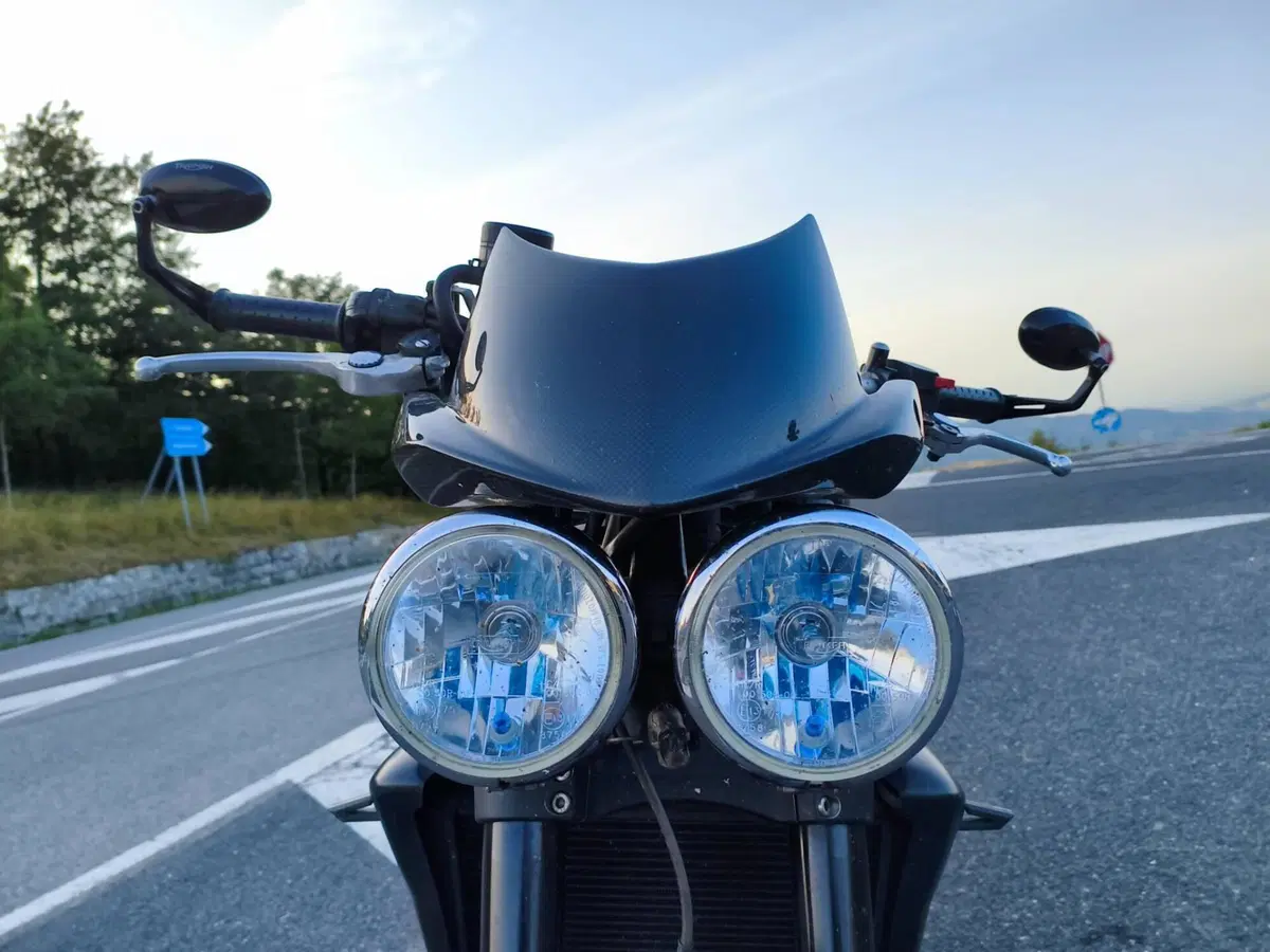 Triumph Speed Triple 1050 (2005 - 11) (5)