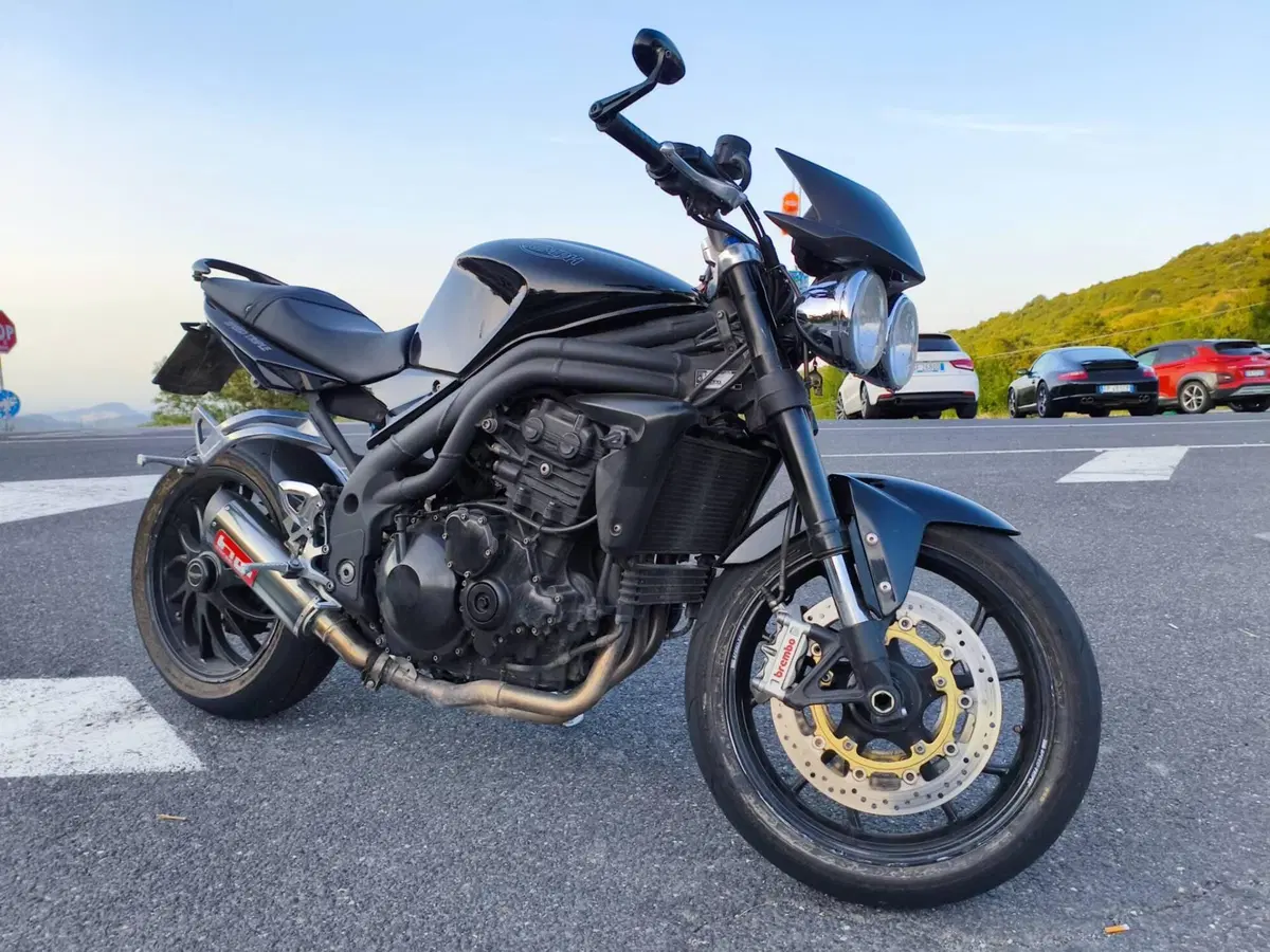 Triumph Speed Triple 1050 (2005 - 11) (6)
