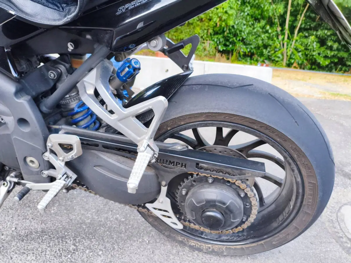 Triumph Speed Triple 1050 (2005 - 11) (12)