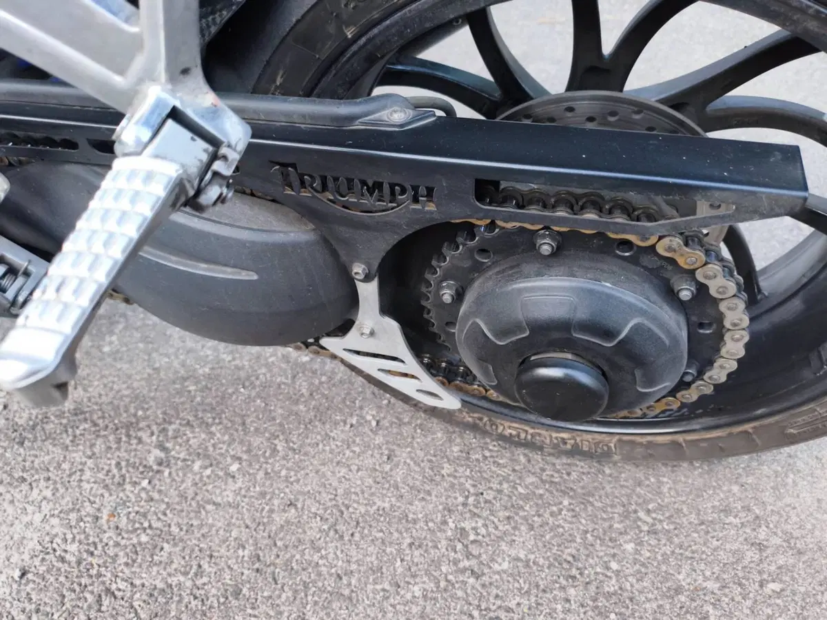 Triumph Speed Triple 1050 (2005 - 11) (15)