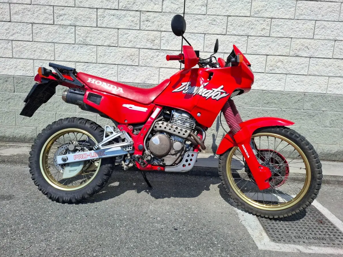 Honda Dominator  (2)