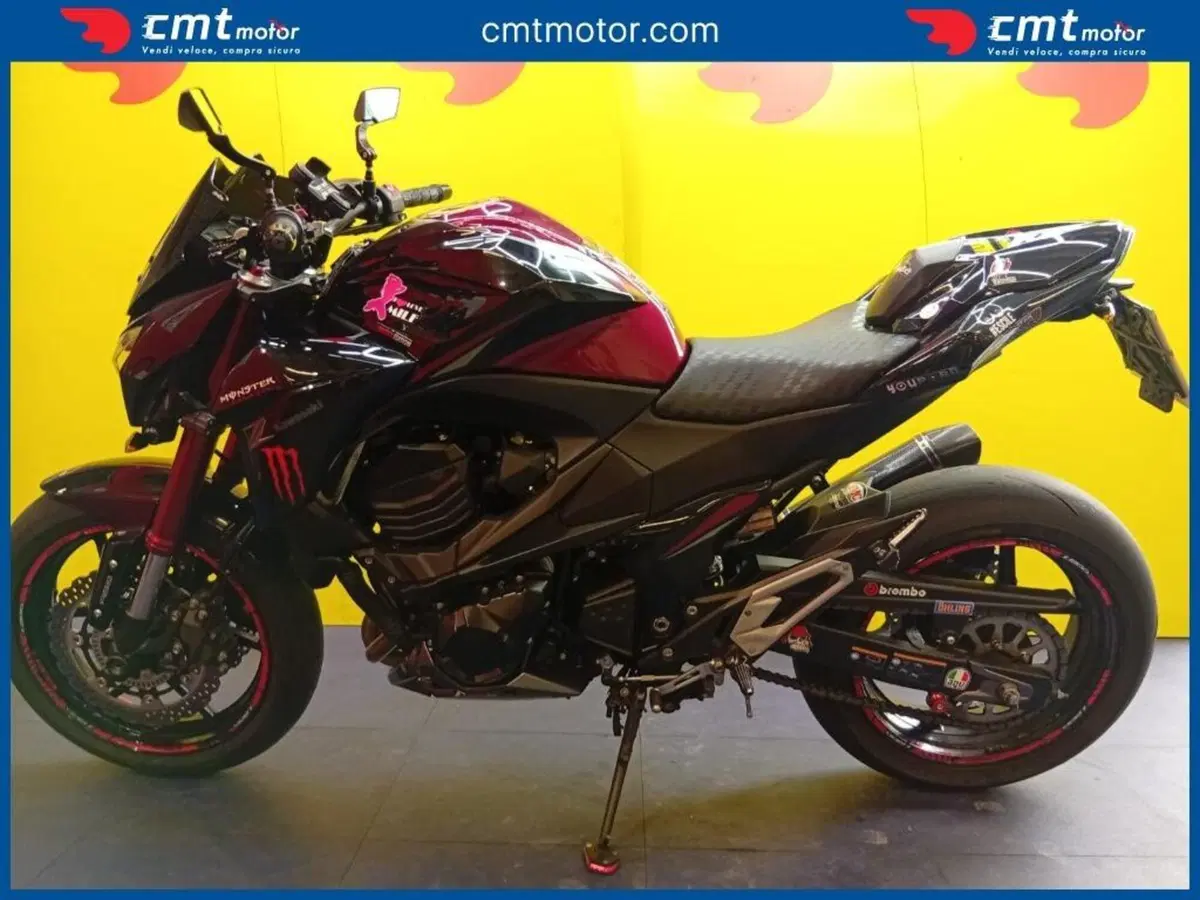 Kawasaki Z 800 Sugomi Edition ABS (2016) (4)