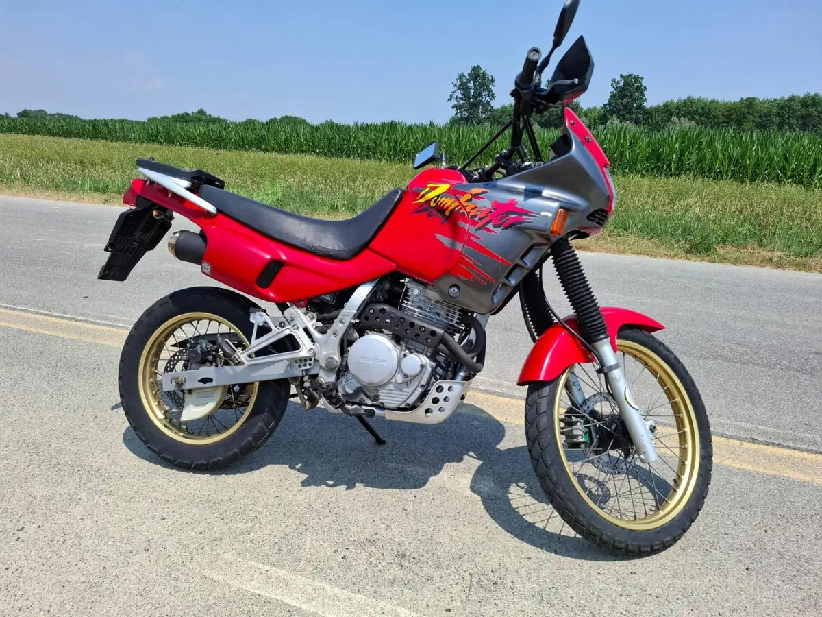 Honda NX 650 Dominator (1991 - 95) (2)