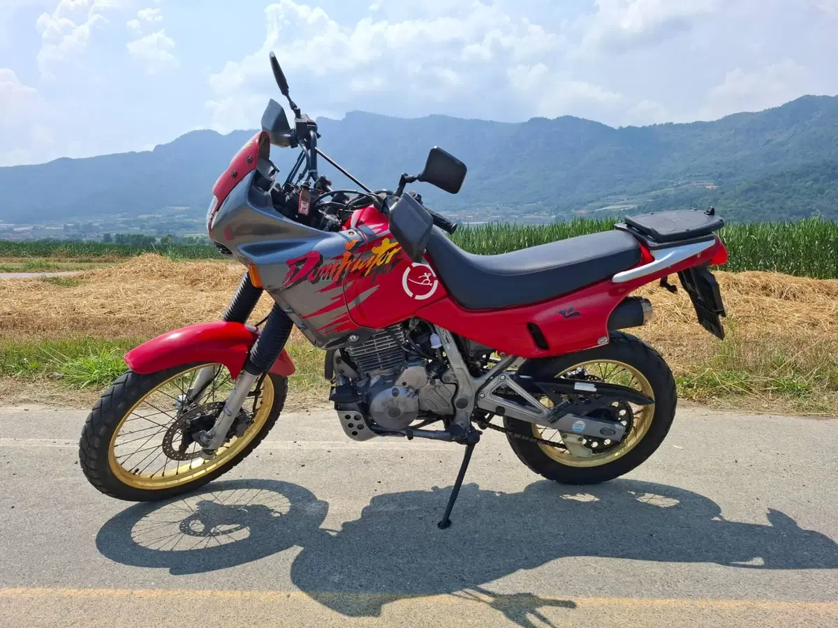 Honda NX 650 Dominator (1991 - 95) (3)