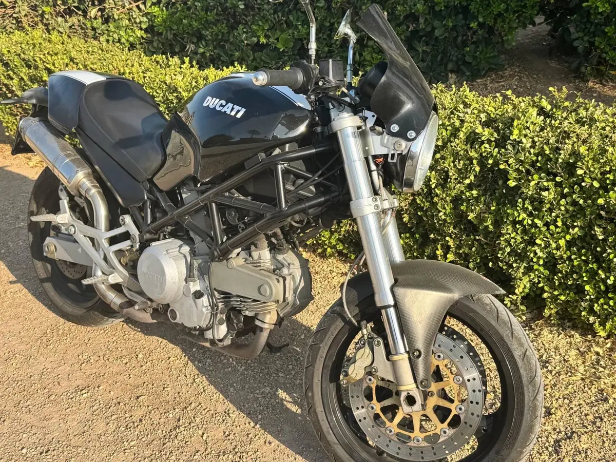 Ducati 620 Sport (2003 - 04)