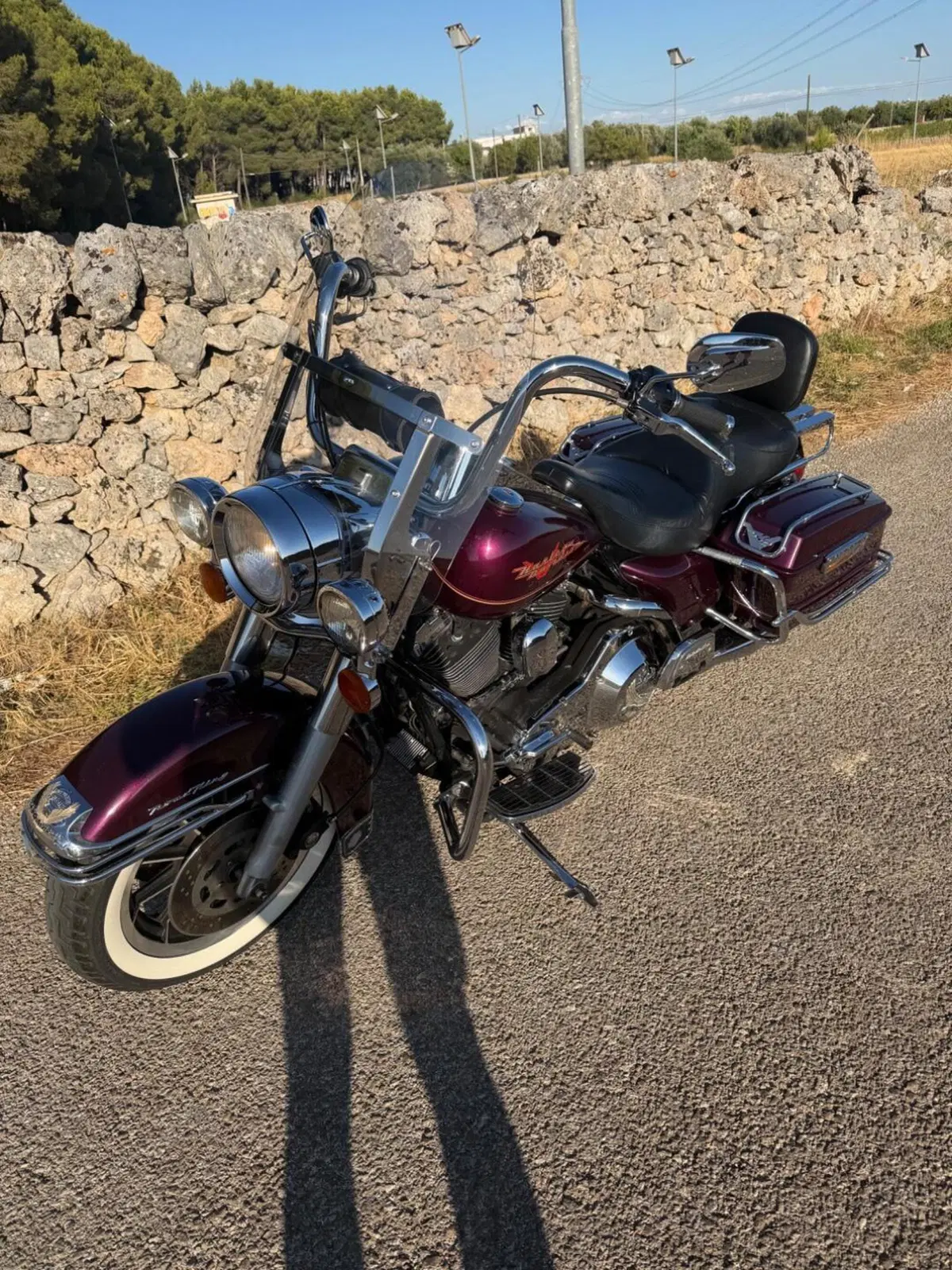 Harley-Davidson Road King (2)