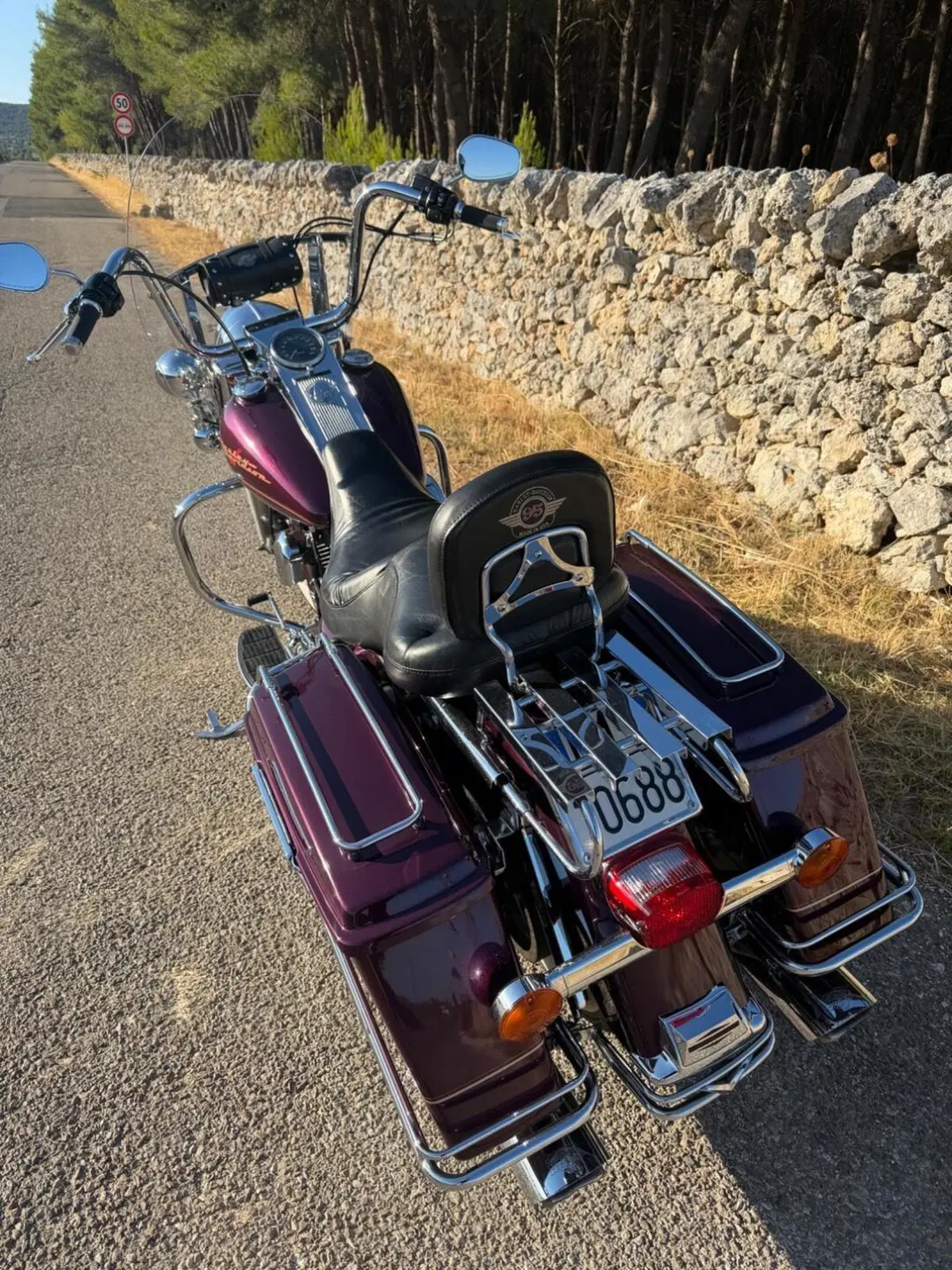 Harley-Davidson Road King (4)