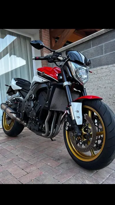 Yamaha FZ1 (2006 - 16) usata